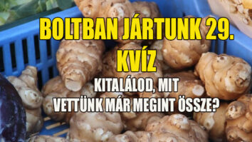 boltban jártunk