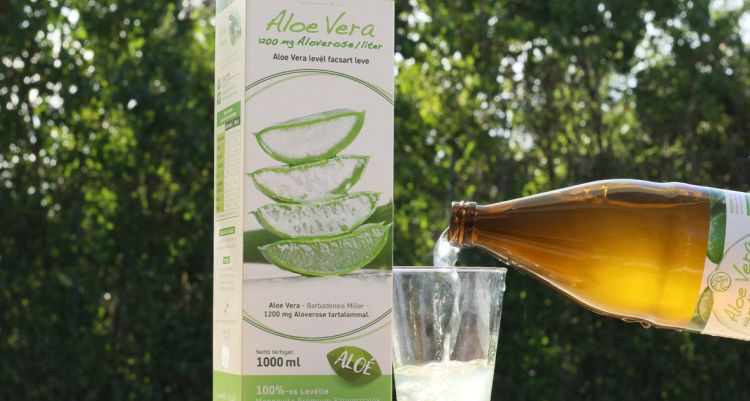 Az Aloe Vera már évezredek óta ismert és elismert a gyógyító és tápláló tulajdonságai miatt. Most pedig a mannavita.hu-n keresztül könnyedén hozzájuthat ehhez a csodálatos termékhez, amely előnyöket kínál az egészségre és a jó közérzetre nézve.